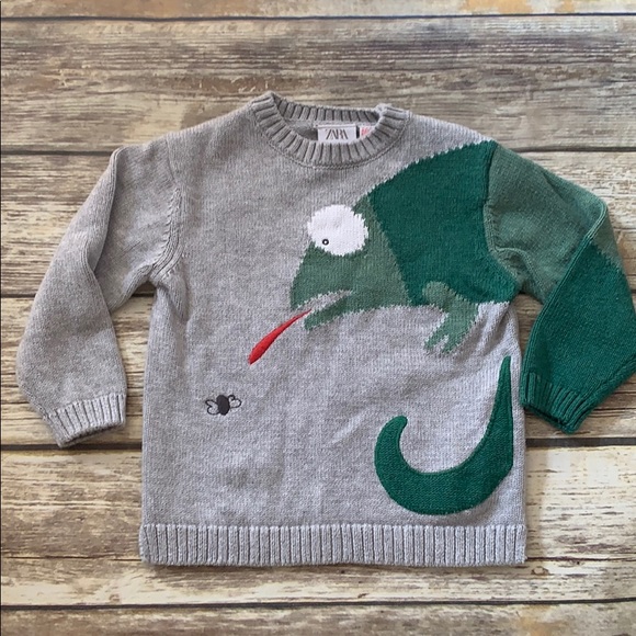 chameleon sweater